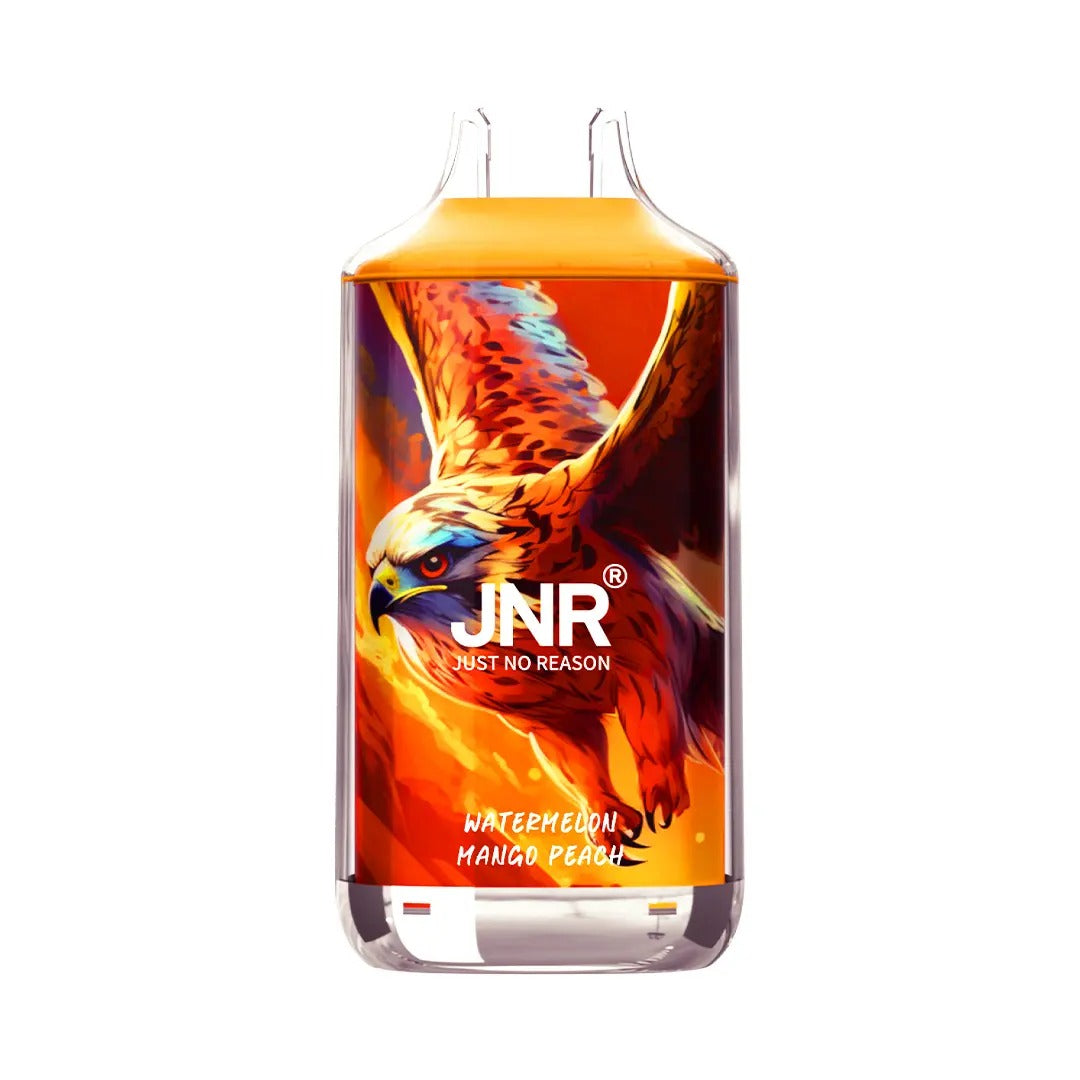 JNR FALCON Watermelon Mango Peach