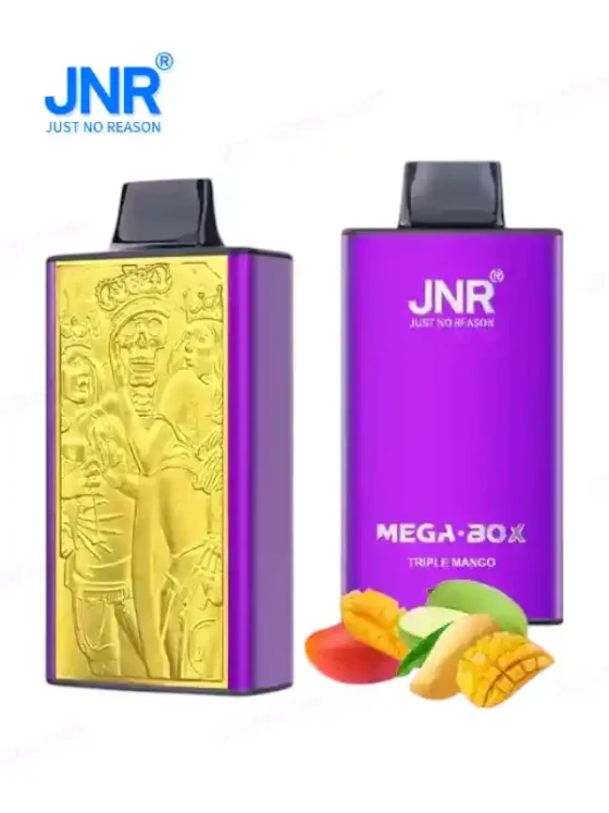 jnr mega box 25000 puff de vape jetable