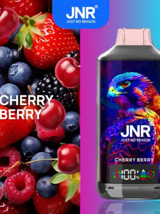 JNR Falcon-X 18000 Puffs Cherry Berry
