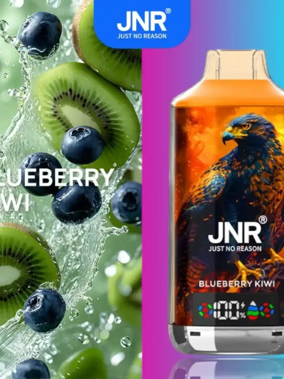 JNR Falcon X 18000 puff Blueberry Kiwi