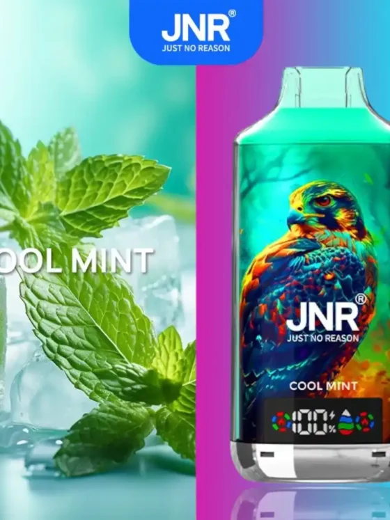 JNR Falcon X 18000 puff Cool Mint